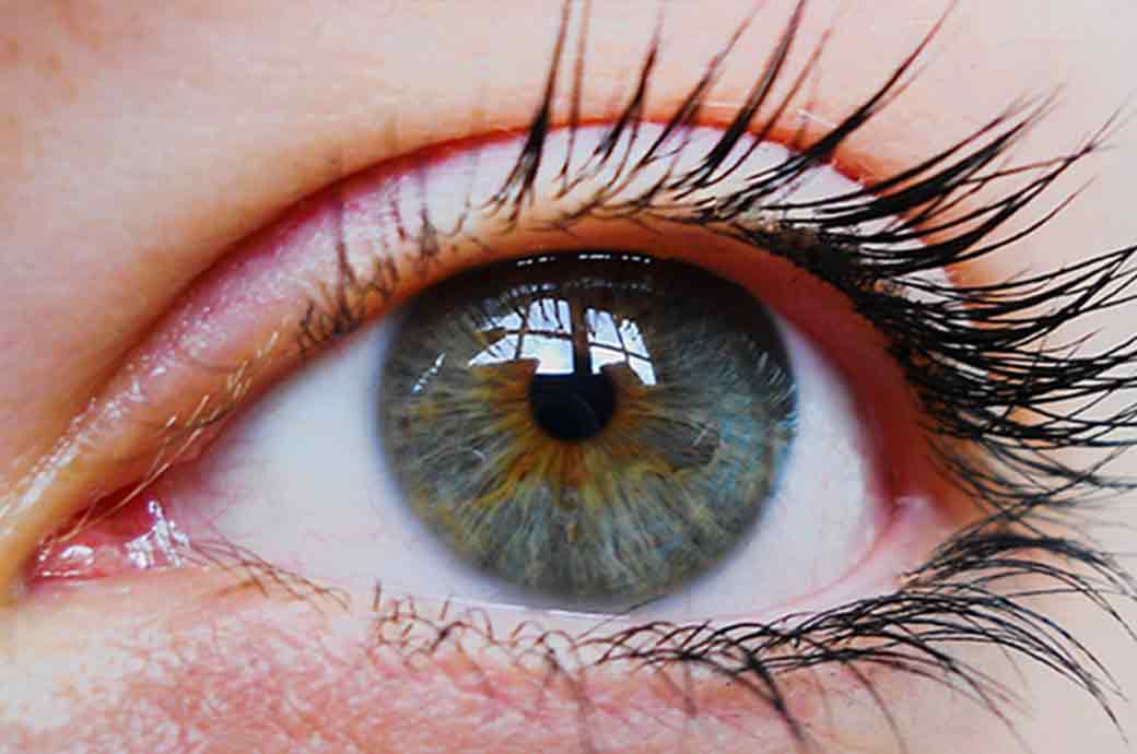 Una donna giovane dietro un foroptero mentre l’ottico effettua un controllo dei suoi occhi durante un’esame